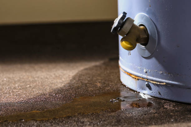 Water damage restoration insurance claims in Terre Haute, IN