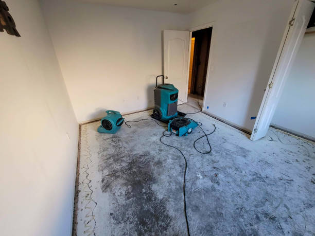 Best Local water damage restoration  in Terre Haute, IN