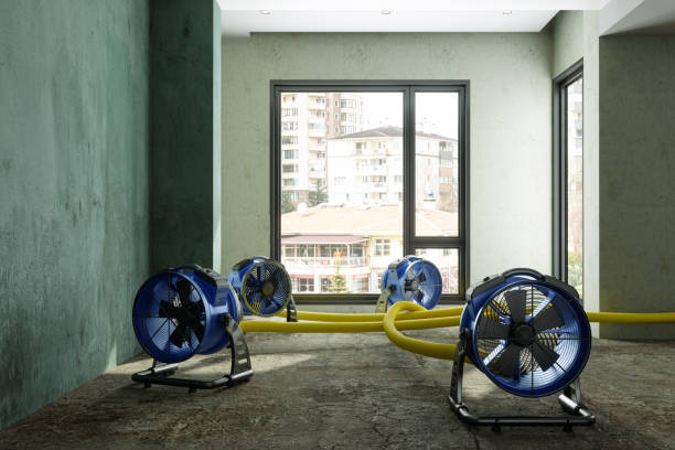 Best 24/7 water damage repair  in Terre Haute, IN